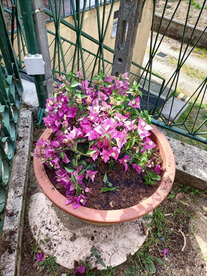 Da Ange E Bru Villa Sestri Levante Dış mekan fotoğraf